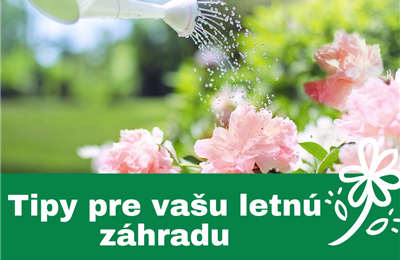 Tipy pre letnú záhradu
